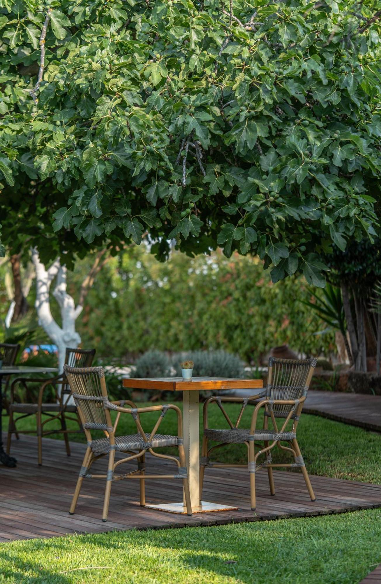 Boho Suites Denia (Adults Only) Luaran gambar